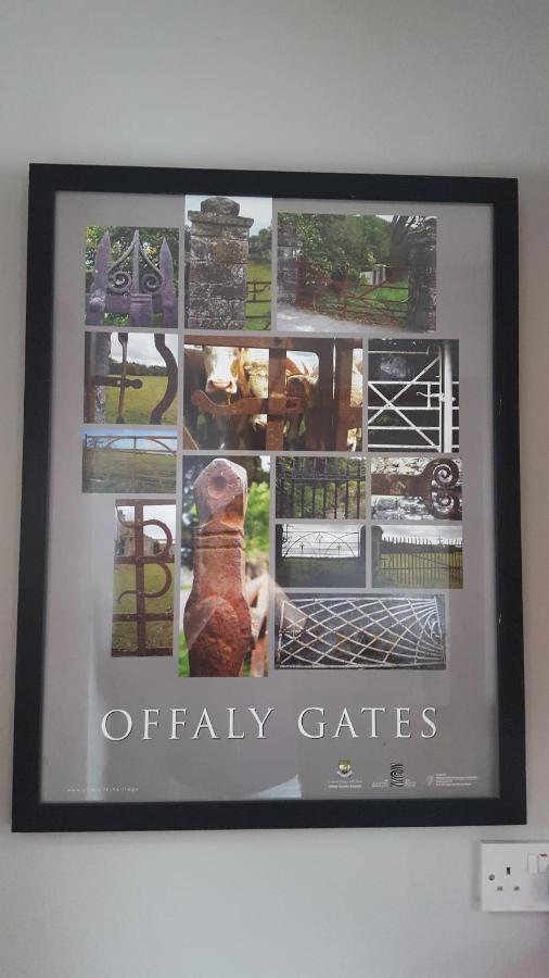 Gormanstown House Apt, The Island Tullamore Exteriér fotografie