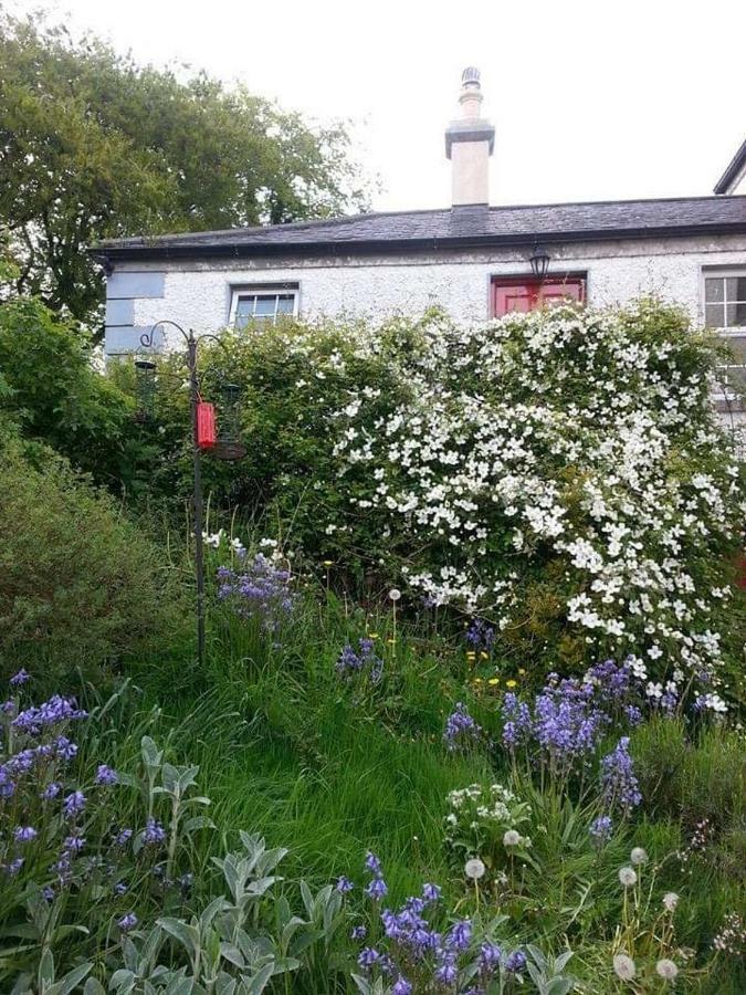 Gormanstown House Apt, The Island Tullamore Exteriér fotografie
